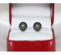 Boucles d`Oreilles Perles de Tahiti 9mm Qualité Perle: AAA