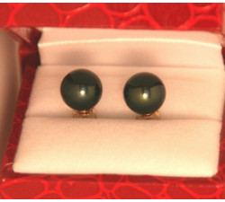 copy of Boucles d`Oreilles Perles de Tahiti 10mm Qualité Perle: AAA